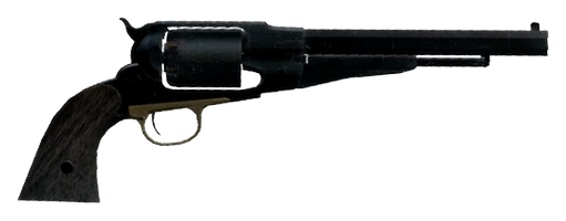 Limited Remington 1858