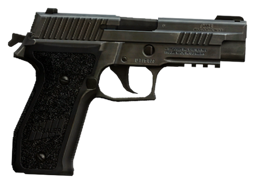 Snowballer SIG Sauer P229R